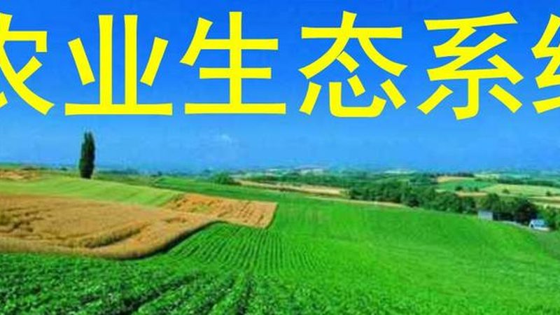 农业合作社理事长：引领农业发展的舵手