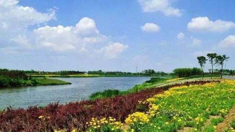 农民专业合作社注销后债务怎么办