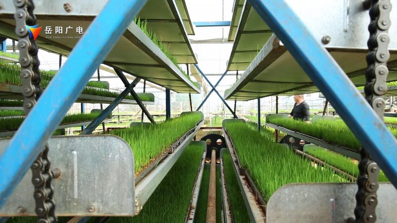 生鲜配送承包合同规范：保障食品安全与供应链稳定的关键