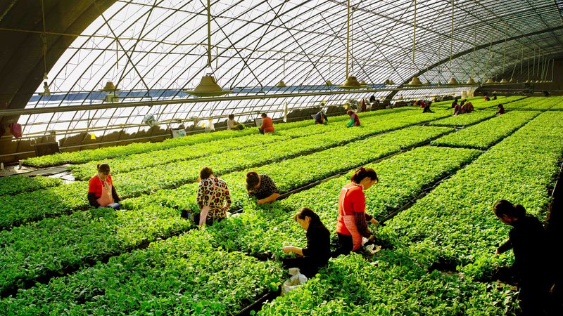 农业项目公司靠谱与否，关键看这三点