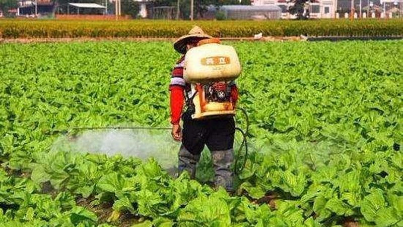 大棚农资清单：了解必备物资，保障作物健康生长
