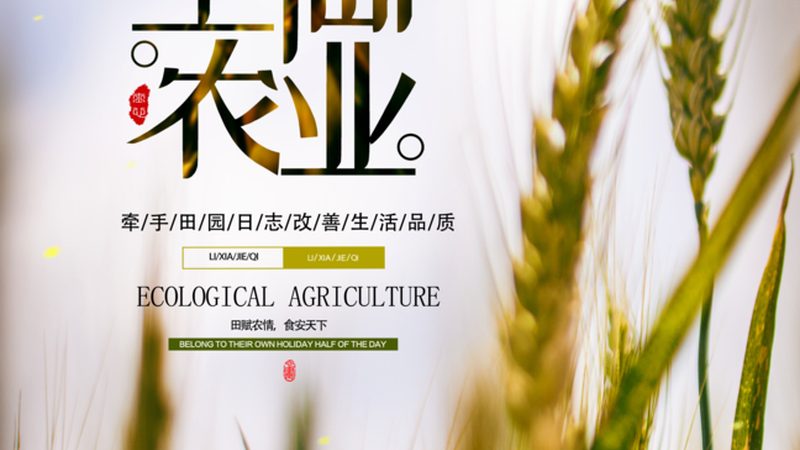 休闲农业园区托管运营：揭秘托管背后的价值与策略**