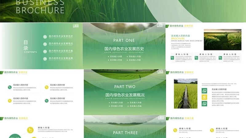 有机蔬菜批发市场：探寻绿色健康的源头